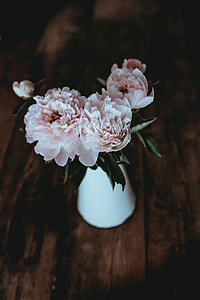 Vase of peonies thumbnail
