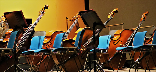 several brown cello on rack beside music stand inside room thumbnail