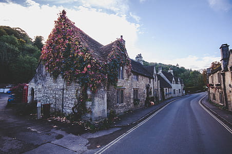 road in the middle of houses thumbnail
