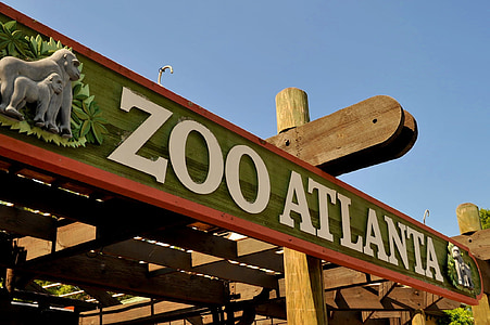 zoo atlanta thumbnail