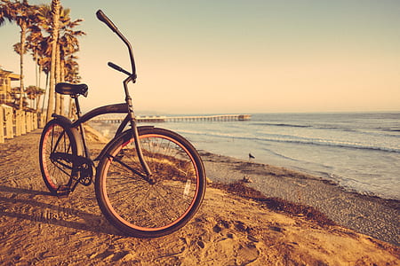 black bicycle parked near sea at daytime thumbnail