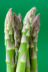 closeup photo of green leafed plant thumbnail