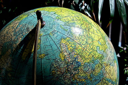 close-up photo of globe thumbnail