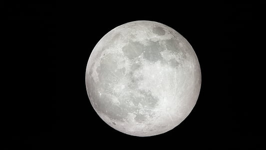 gray full moon thumbnail