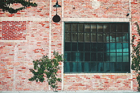 green trees beside window thumbnail