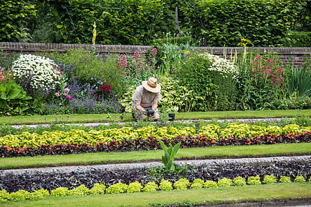 woman sitting on grass field planting plants thumbnail