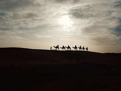 person and camel walking together thumbnail