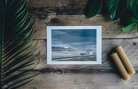 white and brown house painting thumbnail
