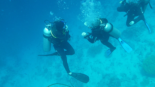 three divers swimming underwater thumbnail
