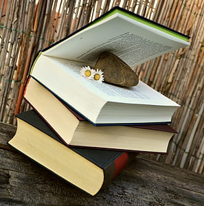 three piles of thick books thumbnail