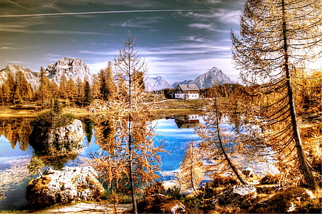 river between trees near mountains thumbnail