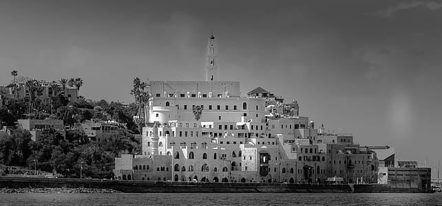 Grayscale Photo of White Concrete Building thumbnail