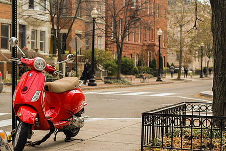 red motor scooter parking near on roadway thumbnail