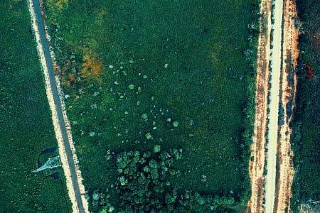 Forest Aerial Photography thumbnail