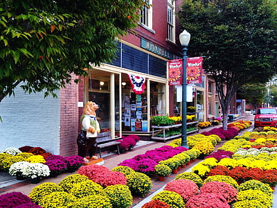 variety of flowers outside store and on street thumbnail