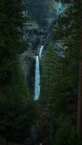 waterfalls between green trees thumbnail