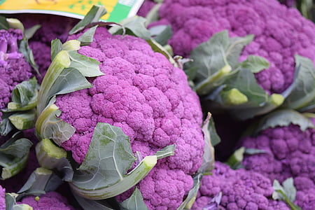 purple cauliflowers photography thumbnail