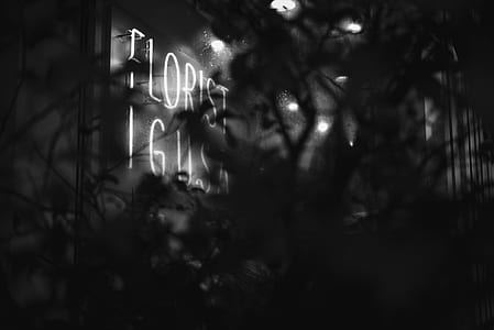 neon, sign, urban, night thumbnail