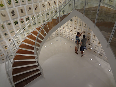 Staircase, Instituto Itaú Cultural thumbnail