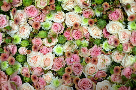 bunch of assorted-color flowers thumbnail