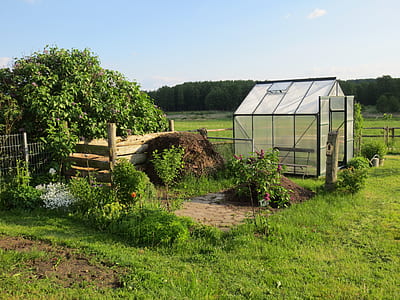 green house near trees and plants thumbnail