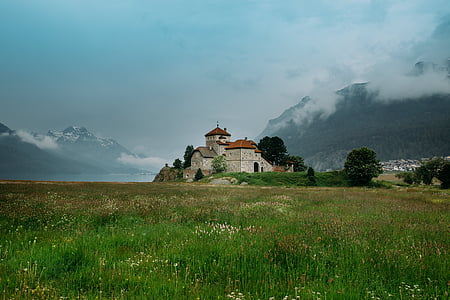 white and brown establishment during daytime thumbnail