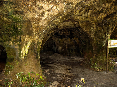 photo of underground cave with green plants thumbnail