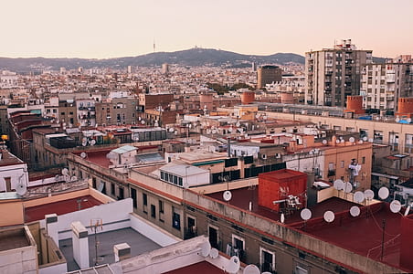 aerial view of city buildings during day time thumbnail