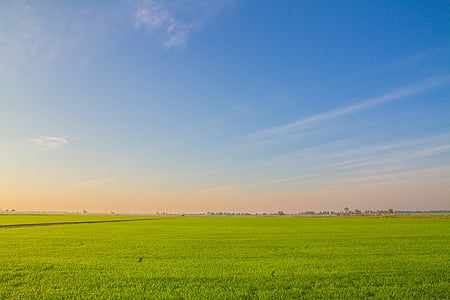 green grass field at daytime thumbnail