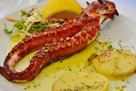 octopus tentacle with potato on white ceramic plate thumbnail