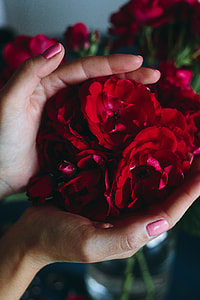 Lovely workplace with red roses thumbnail