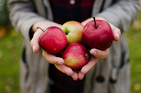 person holding four red apples thumbnail