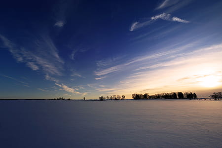 body of water and trees under clear blue sky thumbnail