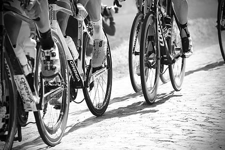 bike, bicycle, cyclist, rider thumbnail