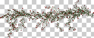 Beach rose , Rose Vine, red berries border PNG clipart