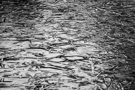 background, texture, ice, frozen, pattern, structure thumbnail