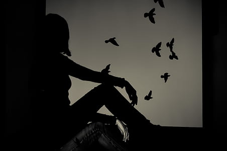 Silhouette of Woman Sitting on Window Watching Birds Flying thumbnail