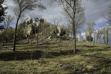 Rock Bluff with Trees and landscape in Quincy Bluff, Wisconsin thumbnail
