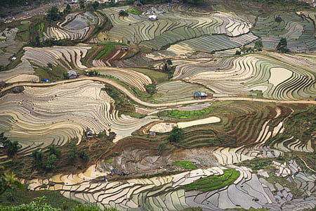 aerial photography of field thumbnail