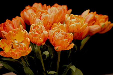 yellow flowers thumbnail