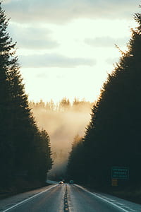 two vehicles traveling on road during golden hour thumbnail