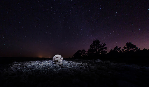 skull on rock thumbnail