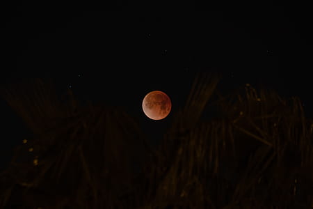 blood moon on galaxy thumbnail