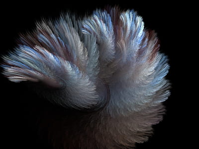 multicolored feather wallpaper thumbnail