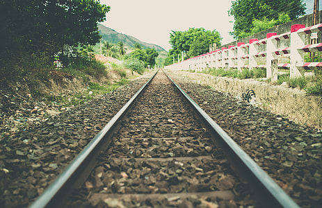 photo of black metal train track in forest during daytime thumbnail