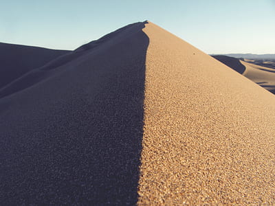 closeup phot oof desert thumbnail