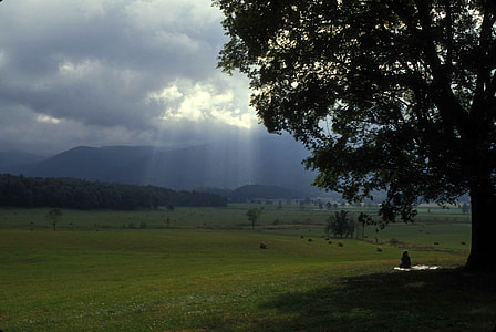 Women sitting under tree under heavy clouds in Great Smoky Mountains National Park, Tennessee thumbnail