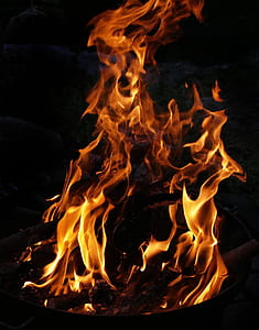 macro photo of fire thumbnail