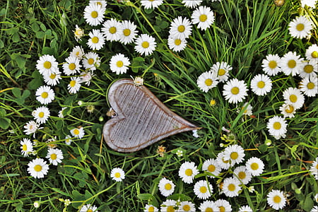 heart brown pendant surrounded with white daisy flowers thumbnail