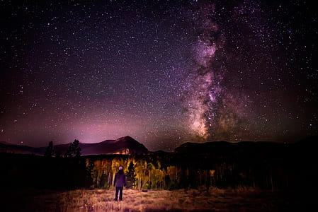 person standing while facing forest and mountains thumbnail